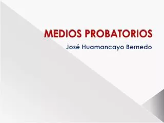 medios probatorios