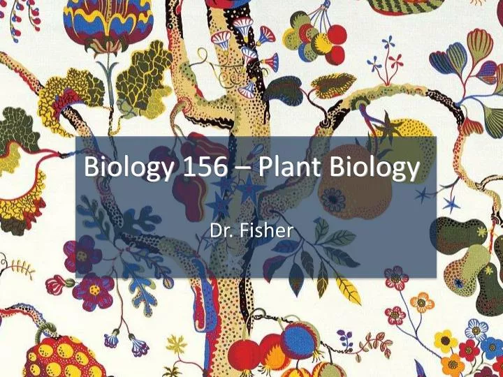 biology 156 plant biology