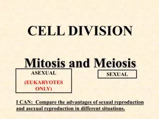 CELL DIVISION Mitosis and Meiosis