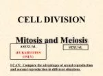 CELL DIVISION Mitosis and Meiosis - slide 1