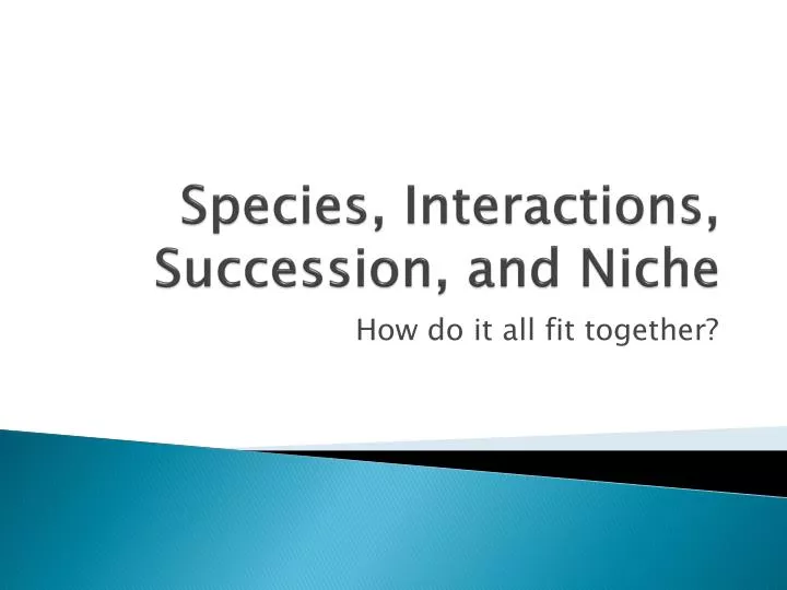 species interactions succession and niche