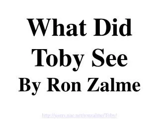 What Did Toby See By Ron Zalme