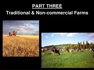 PART THREE Traditional &amp; Non-commercial Farms