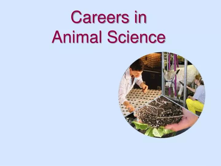 careers in animal science