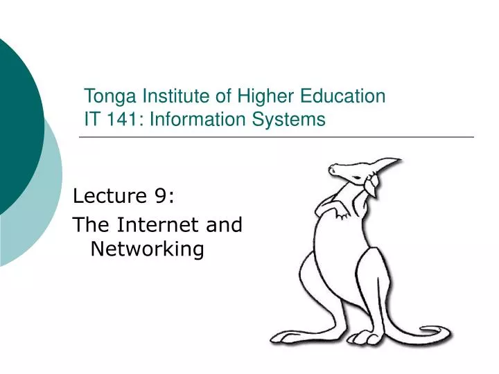 tonga institute of higher education it 141 information systems