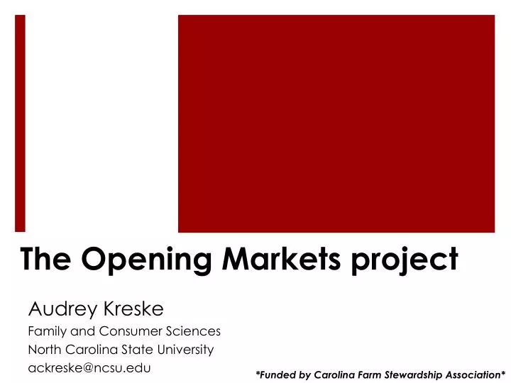 the opening markets project