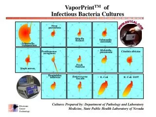 VaporPrint TM of Infectious Bacteria Cultures