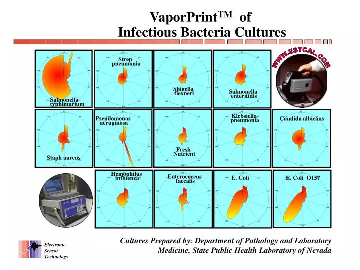 vaporprint tm of infectious bacteria cultures