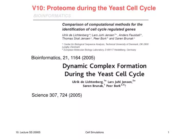 v10 proteome during the yeast cell cycle