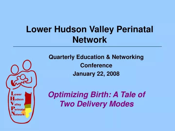 lower hudson valley perinatal network