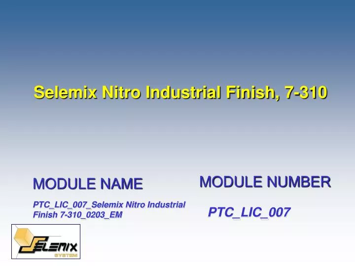 selemix nitro industrial finish 7 310