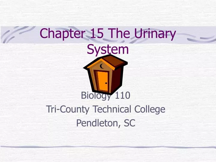 chapter 15 the urinary system