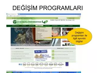de m programlari