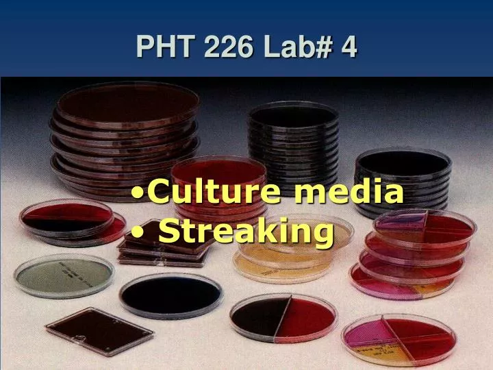 pht 226 lab 4