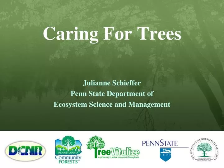 caring for trees