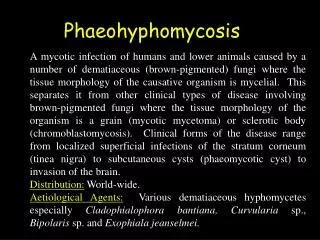 Phaeohyphomycosis