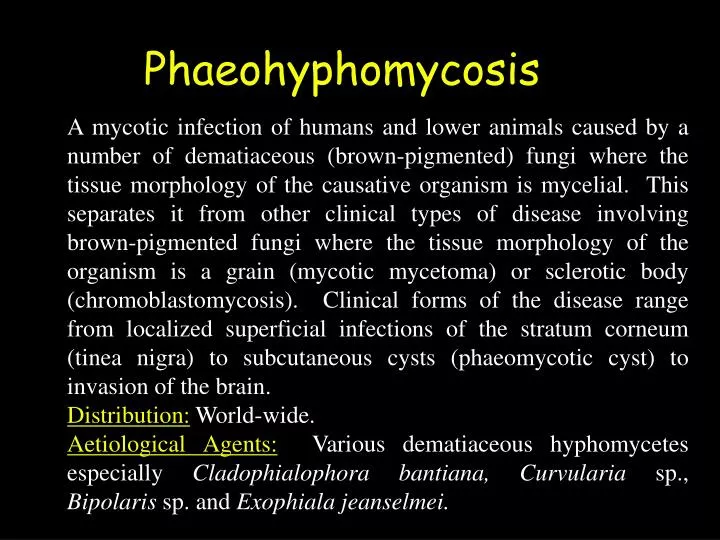 phaeohyphomycosis