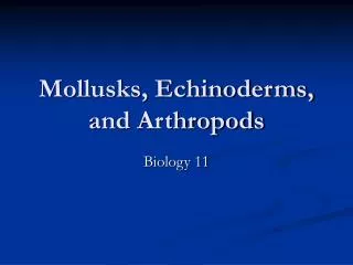 Mollusks, Echinoderms, and Arthropods