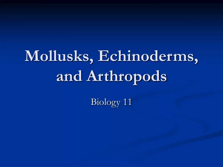mollusks echinoderms and arthropods