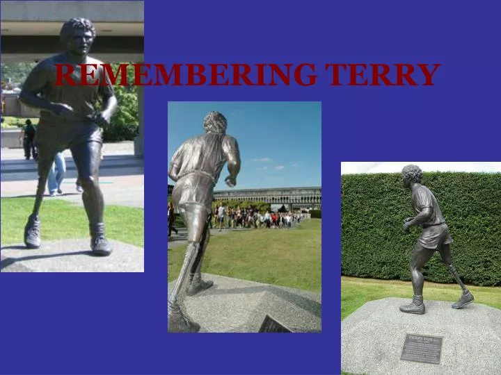 remembering terry