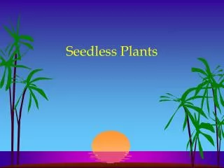 seedless plants