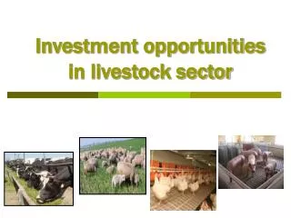 Investment opportunities in livestock sector