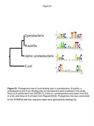 Figure S1