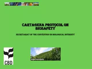 Cartagena Protocol on Biosafety Secretariat of the Convention on Biological Diversity