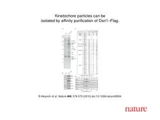 B Akiyoshi et al. Nature 468 , 576-579 (2010) doi:10.1038/nature09594