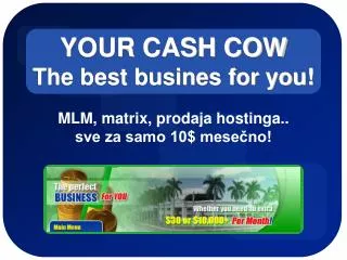 YOUR CASH COW The best busines for you!