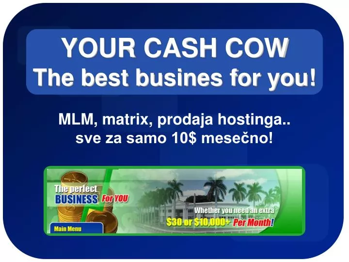 your cash cow the best busines for you