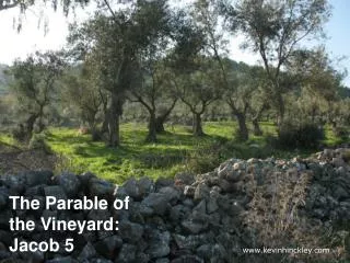 The Parable of the Vineyard: Jacob 5