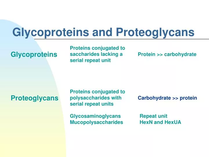 glycoproteins and proteoglycans