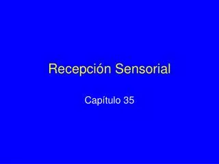 recepci n sensorial