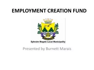 EMPLOYMENT CREATION FUND