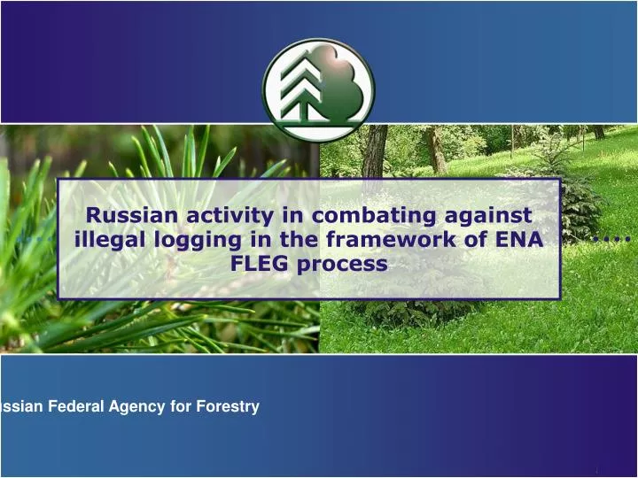 russian activity in combating against illegal logging in the framework of ena fleg process