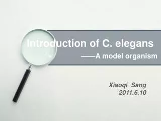 Introduction of C. elegans