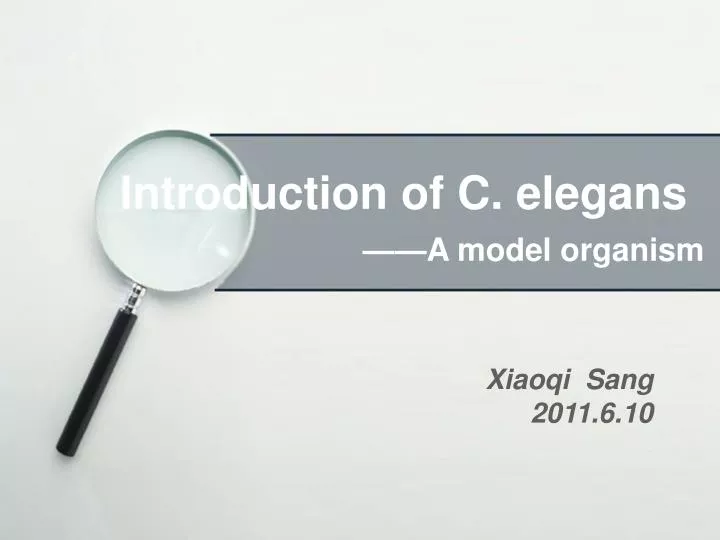 introduction of c elegans