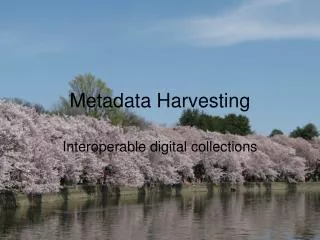 Metadata Harvesting