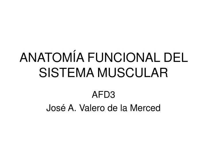 anatom a funcional del sistema muscular