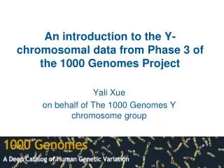 An introduction to the Y-chromosomal data from Phase 3 of the 1000 Genomes Project