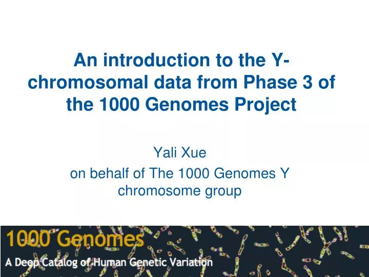 an introduction to the y chromosomal data from phase 3 of the 1000 genomes project