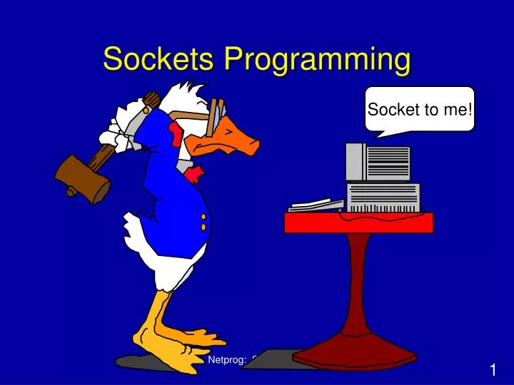 sockets programming