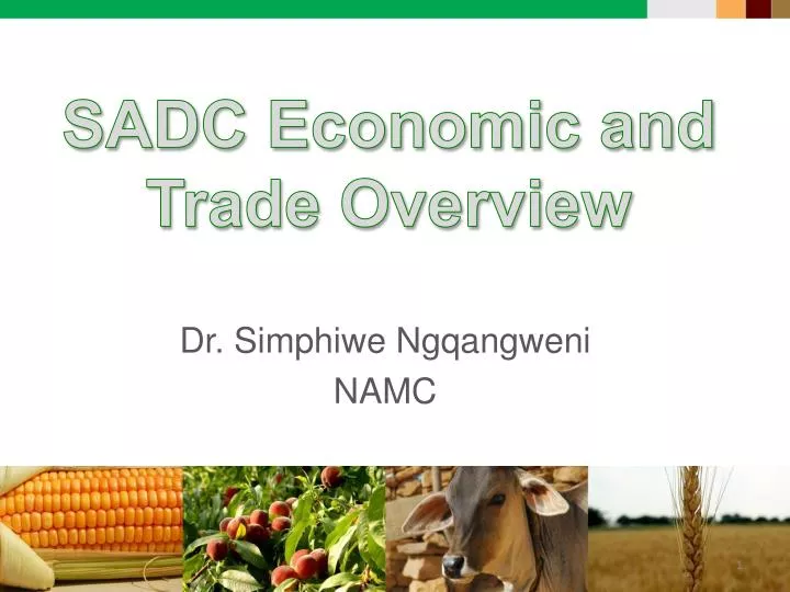sadc economic and trade overview