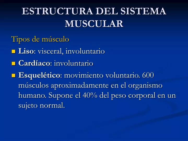 estructura del sistema muscular