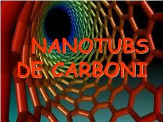 nanotubs de carboni