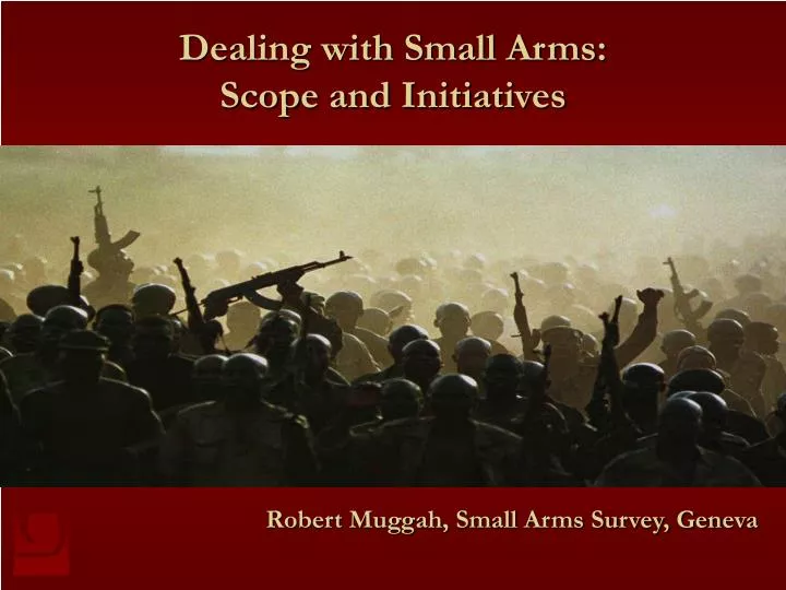 dealing with small arms scope and initiatives