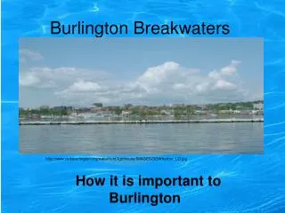 Burlington Breakwaters