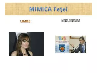 mimica fe ei