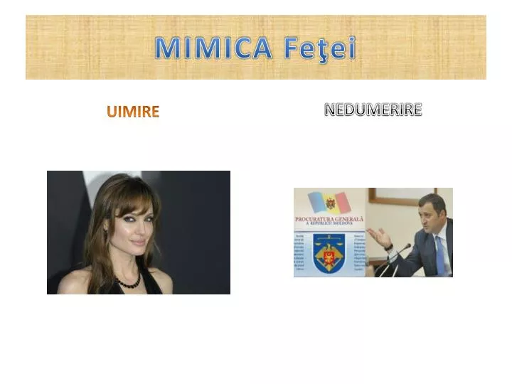 mimica fe ei